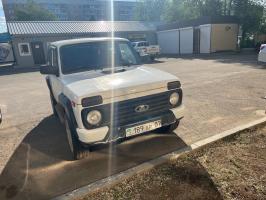 auction-20415