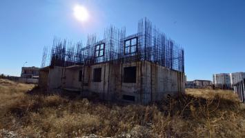 auction-20359