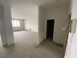 auction-20513