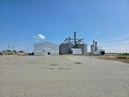auction-21657